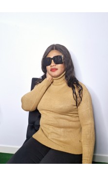 Pull col rond brun