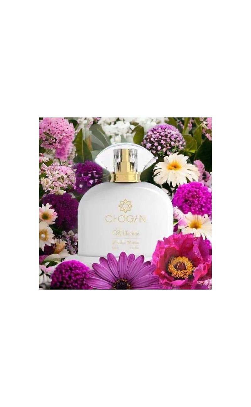 Olfazeta chogan parfum inspiré n° 120  100ml